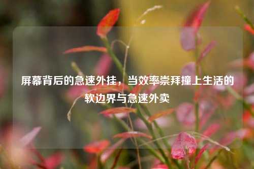 屏幕背后的急速外挂,当效率崇拜撞上生活的软边界与急速外卖