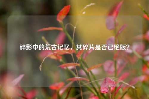 碎影中的荒古记忆,其碎片是否已绝版?