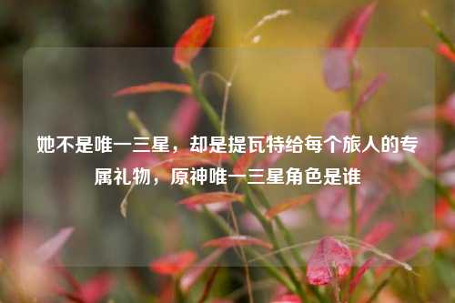 她不是唯一三星,却是提瓦特给每个旅人的专属礼物,原神唯一三星角色是谁