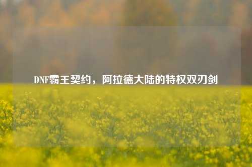 DNF霸王契约,阿拉德大陆的特权双刃剑
