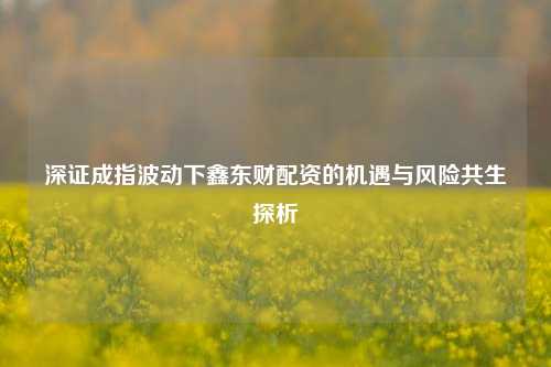 深证成指波动下鑫东财配资的机遇与风险共生探析