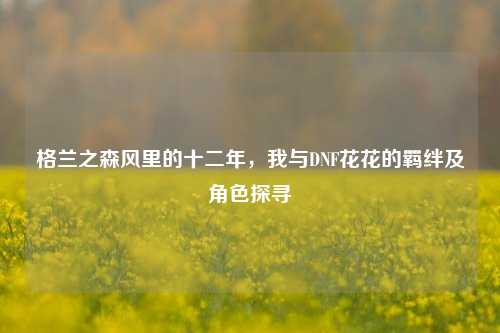 格兰之森风里的十二年,我与DNF花花的羁绊及角色探寻