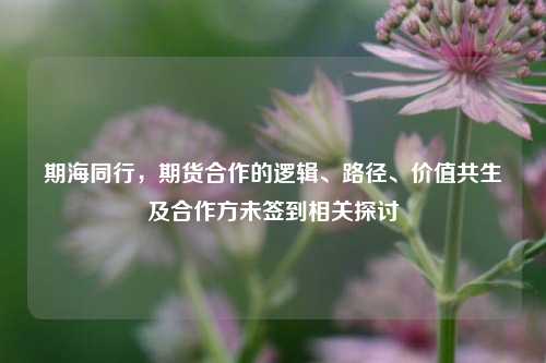 期海同行,期货合作的逻辑、路径、价值共生及合作方未签到相关探讨