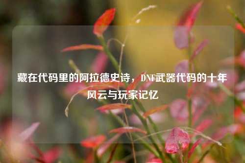 藏在代码里的阿拉德史诗,DNF武器代码的十年风云与玩家记忆
