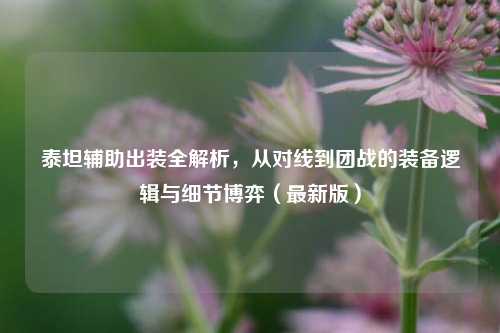 泰坦辅助出装全解析,从对线到团战的装备逻辑与细节博弈(最新版)