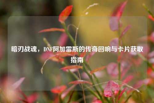 暗刃战魂,DNF阿加雷斯的传奇回响与卡片获取指南