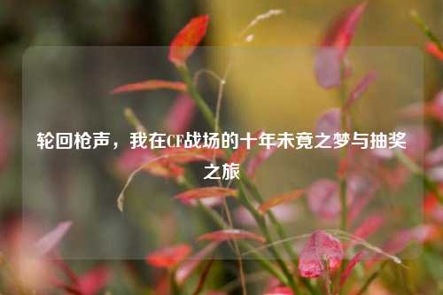 轮回枪声,我在CF战场的十年未竟之梦与抽奖之旅