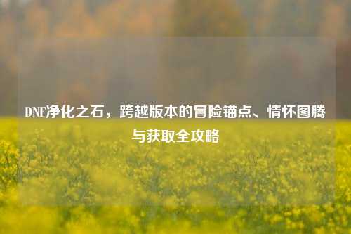 DNF净化之石,跨越版本的冒险锚点、情怀图腾与获取全攻略