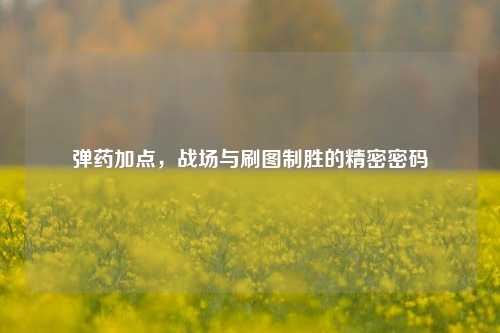 弹药加点,战场与刷图制胜的精密密码