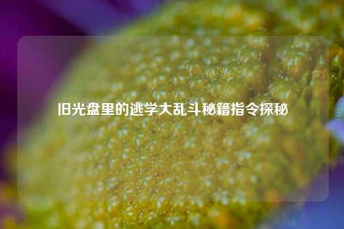 旧光盘里的逃学大乱斗秘籍指令探秘