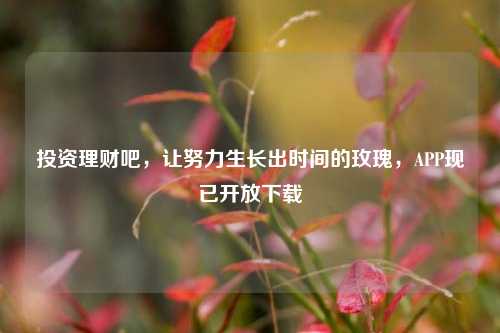 投资理财吧,让努力生长出时间的玫瑰,APP现已开放下载