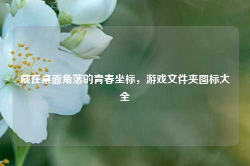 藏在桌面角落的青春坐标,游戏文件夹图标大全