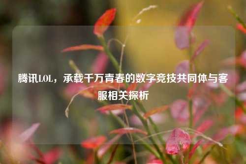 腾讯LOL,承载千万青春的数字竞技共同体与 *** 相关探析