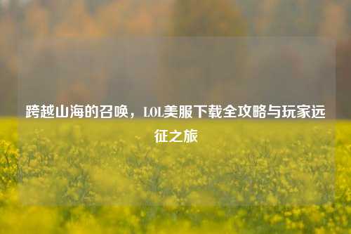 跨越山海的召唤,LOL美服下载全攻略与玩家远征之旅
