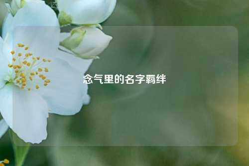 念气里的名字羁绊