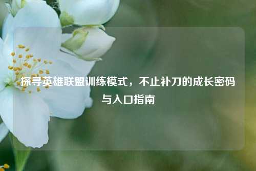 探寻英雄联盟训练模式,不止补刀的成长密码与入口指南