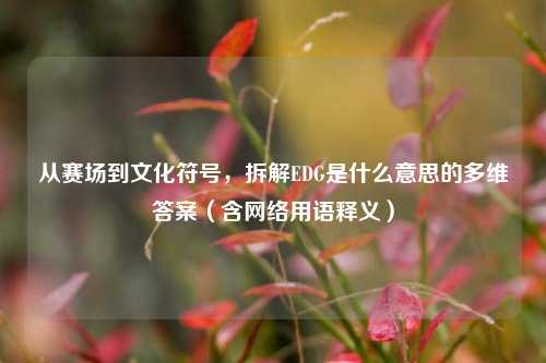 从赛场到文化符号,拆解EDG是什么意思的多维答案(含 *** 用语释义)