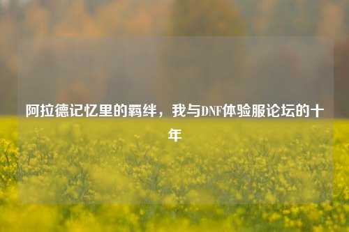 阿拉德记忆里的羁绊,我与DNF体验服论坛的十年