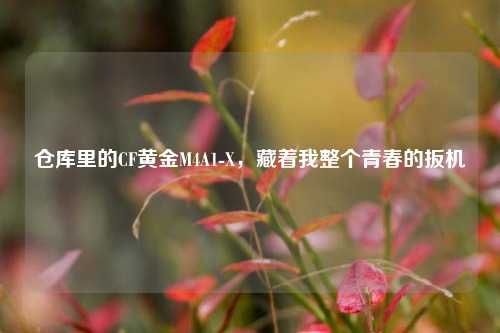 仓库里的CF黄金M4A1-X，藏着我整个青春的扳机