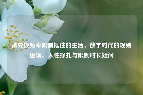 被兑换频率限制框住的生活,数字时代的规则困境、人性挣扎与限制时长疑问