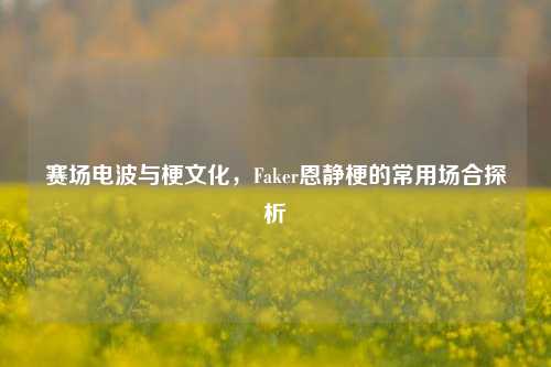 赛场电波与梗文化，Faker恩静梗的常用场合探析