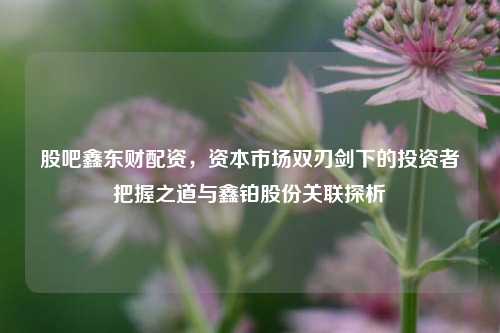 股吧鑫东财配资,资本市场双刃剑下的投资者把握之道与鑫铂股份关联探析