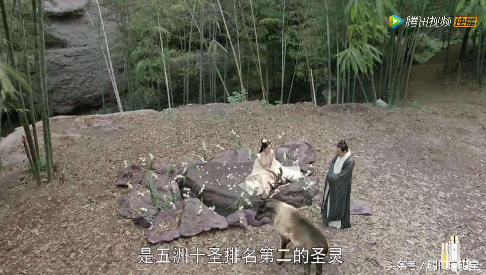 魔法封印装备圣物转换书,地下城堡2圣器有什么用