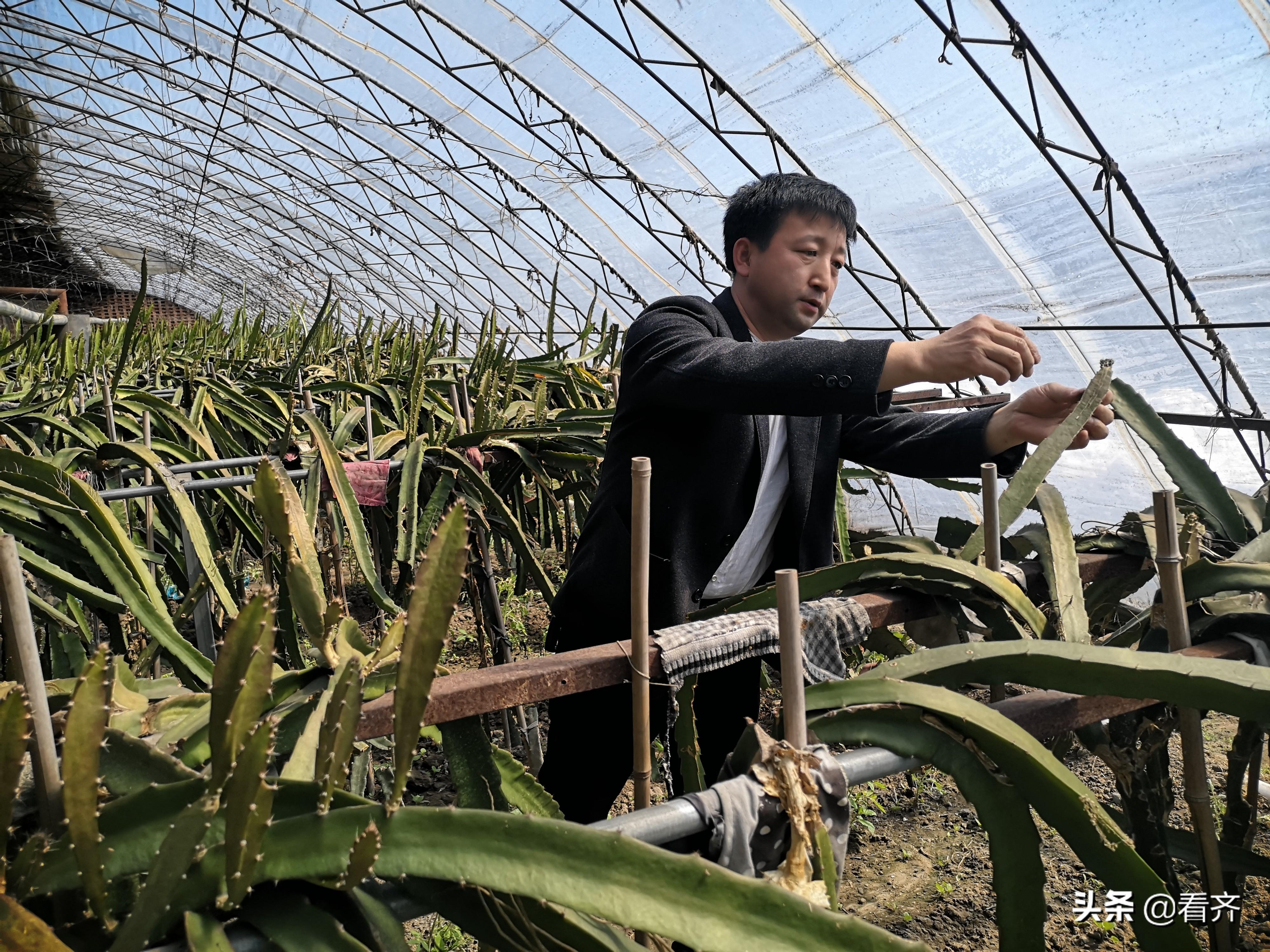 东北证券3号净值,十万块存银行每年能领到多少呢