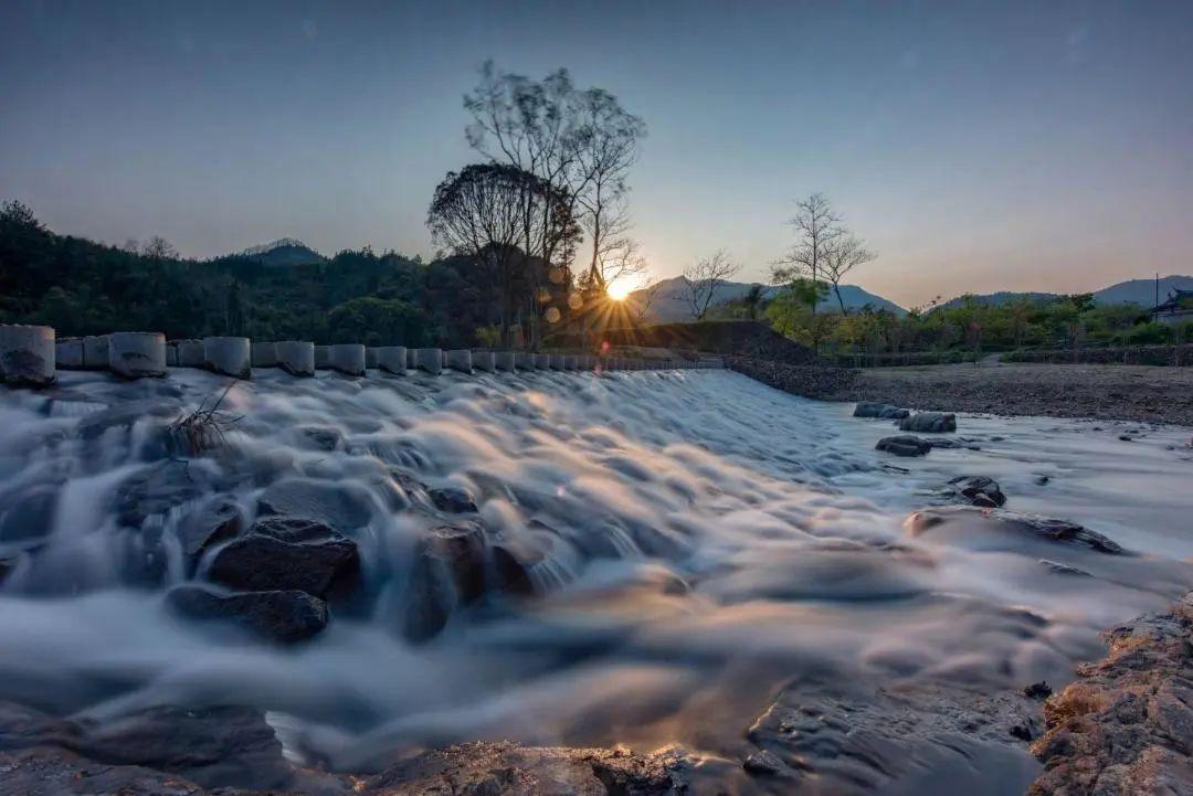 水十条概念股,鱼缸有十条鱼好吗