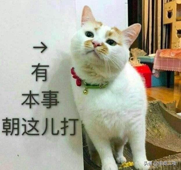 女枪转什么好,云顶之弈s8塞拉斯主c阵容