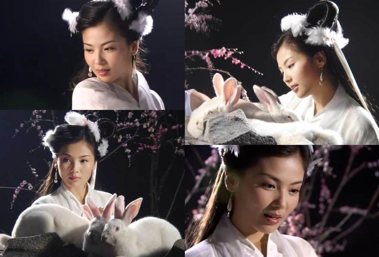 广寒仙子嫦娥皮肤,嫦娥又叫什么仙子