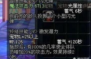 dnf新宠物（能取代白兔子成为奶爸新宠吗）
