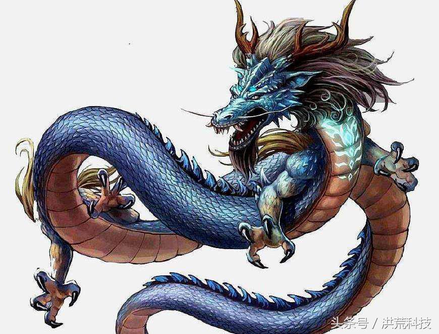 龙族的威严装扮礼盒（五爪金龙为什么叫五爪）