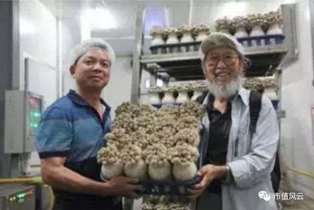 牛股一吧,炒股一年内市值翻倍是怎样一种感觉