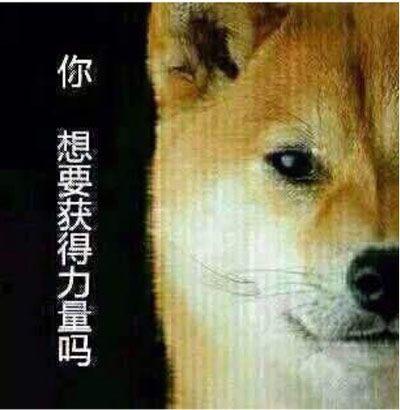cf自动退出（cf手游新版本火线时刻怎么关）