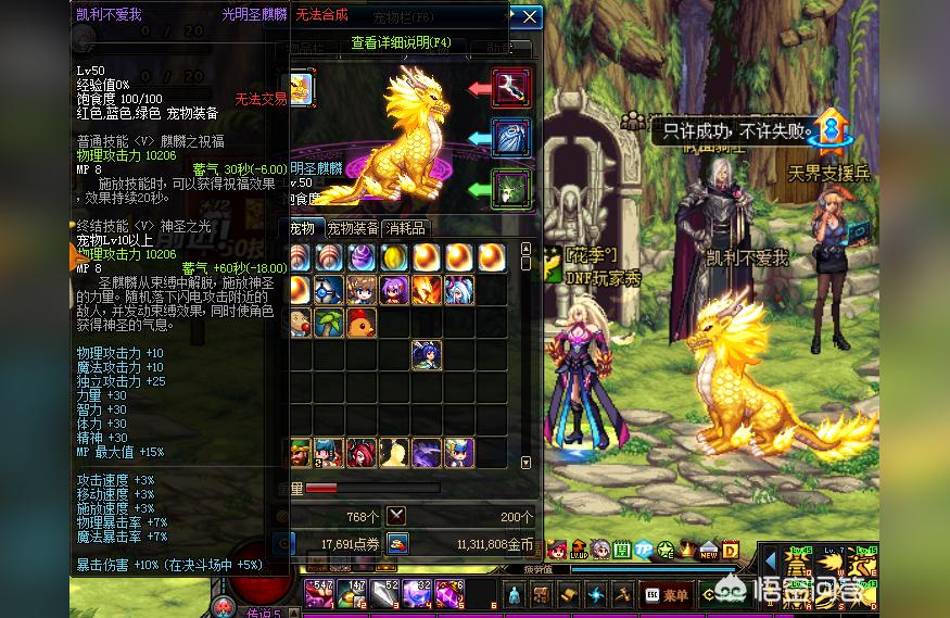 dnf春节宠物（春节宠物宝珠可以附魔其他宠物吗）